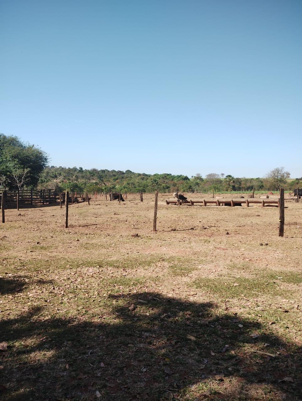 Fazenda_Venda
