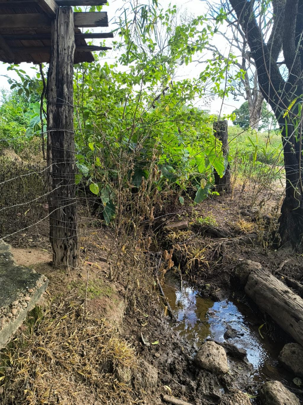 Fazenda_Venda