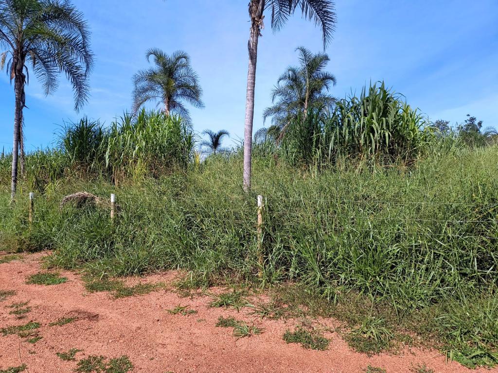 Chácara_Venda