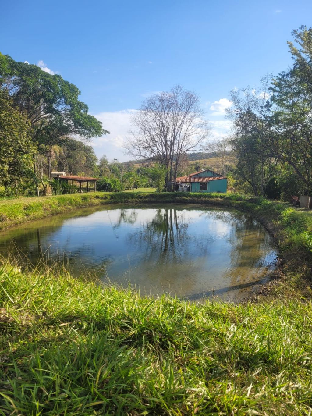 Fazenda_Venda