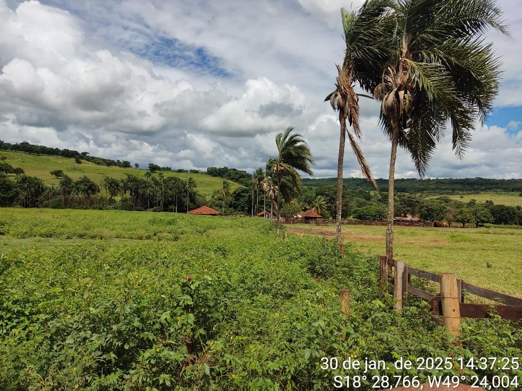 Fazenda_Venda