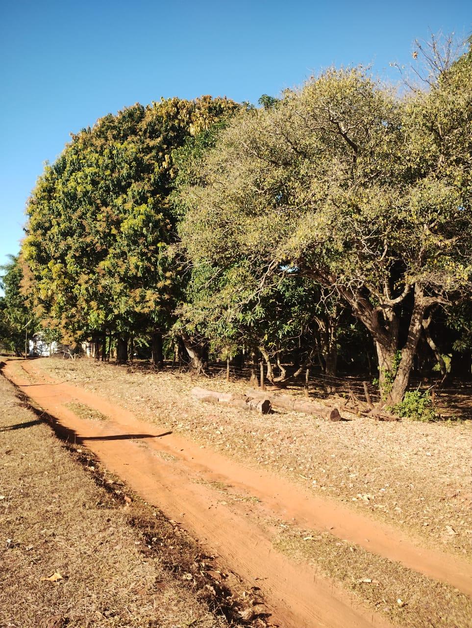 Fazenda_Venda