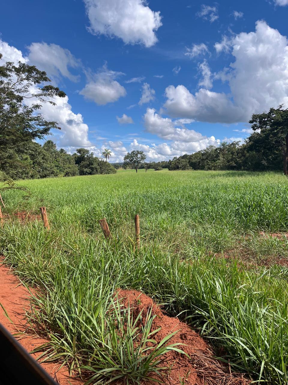 Fazenda_Venda