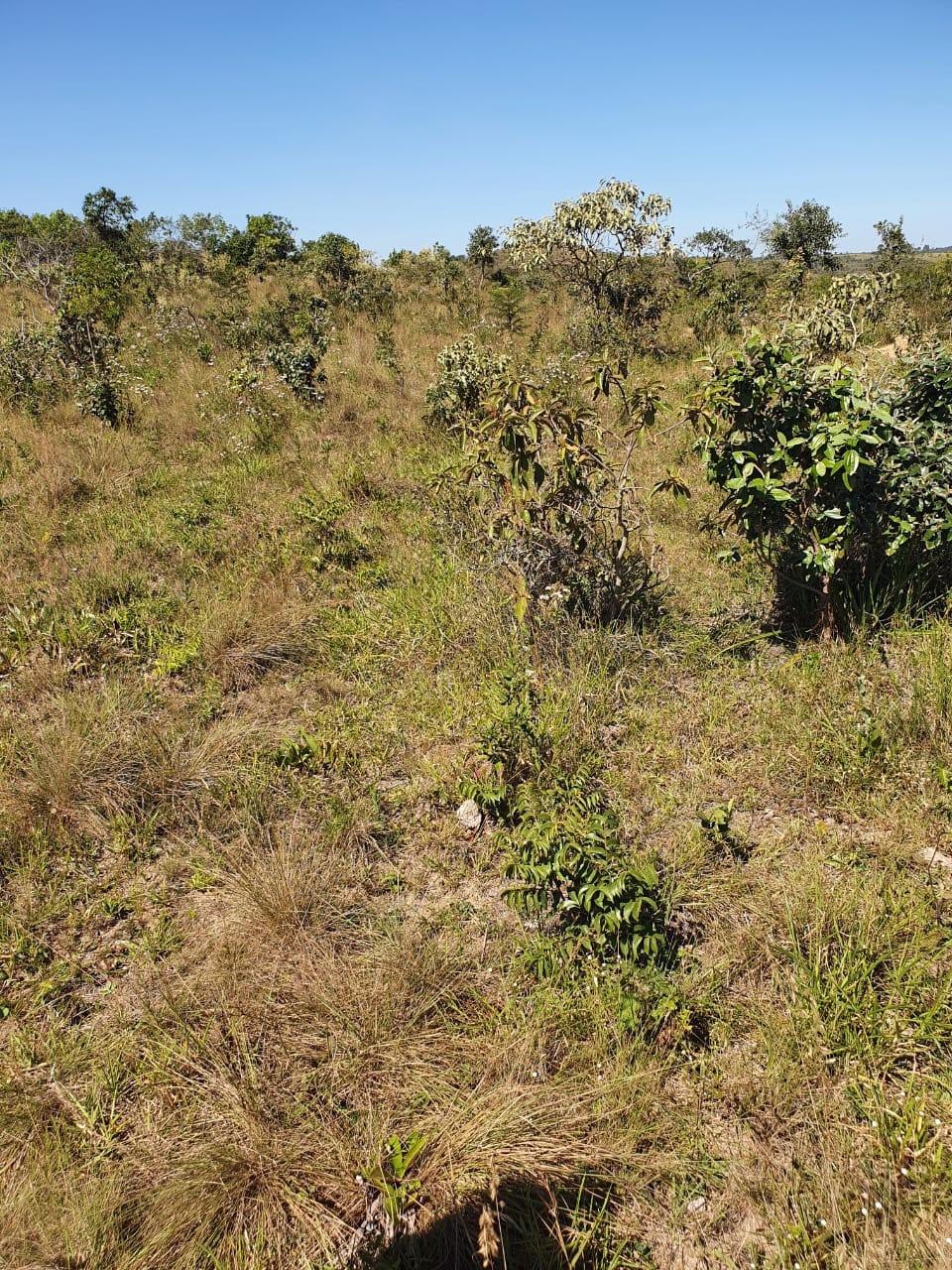 Fazenda_Venda