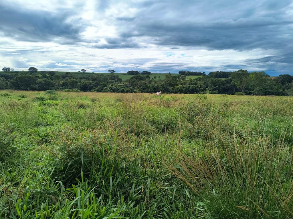 Fazenda_Venda