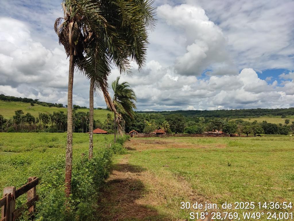 Fazenda_Venda