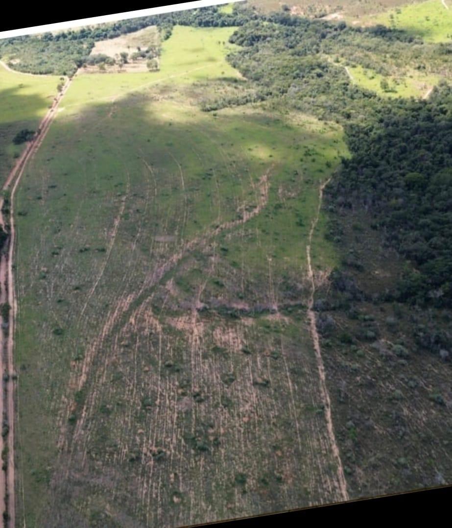 Fazenda_Venda