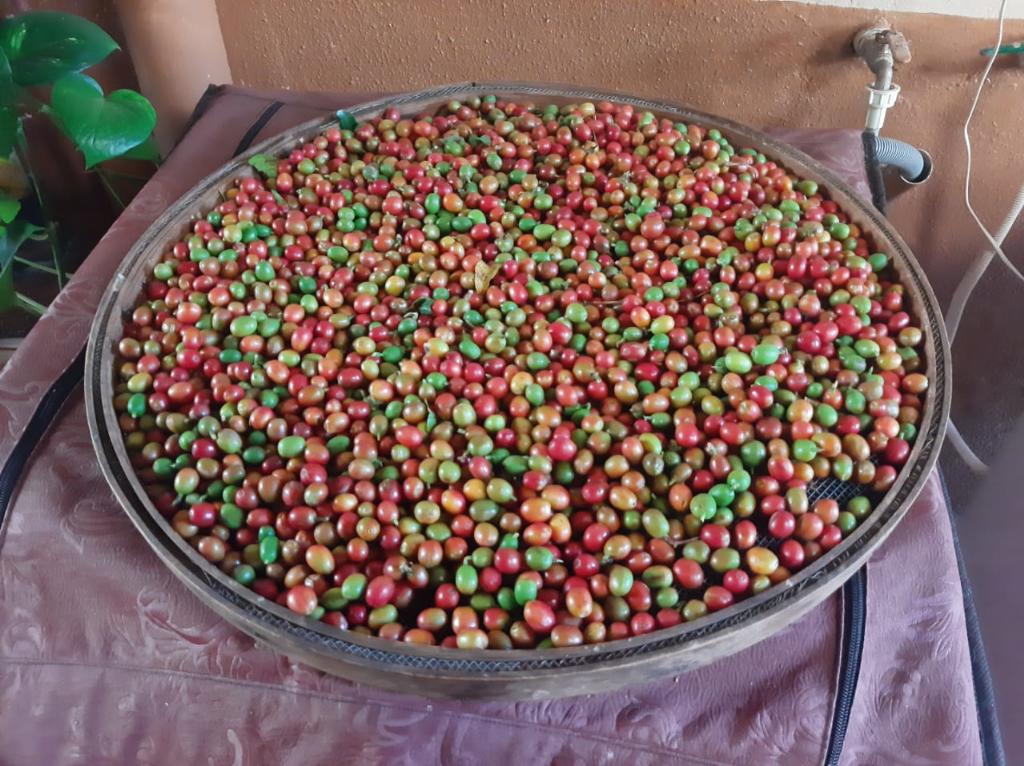Chácara_Venda