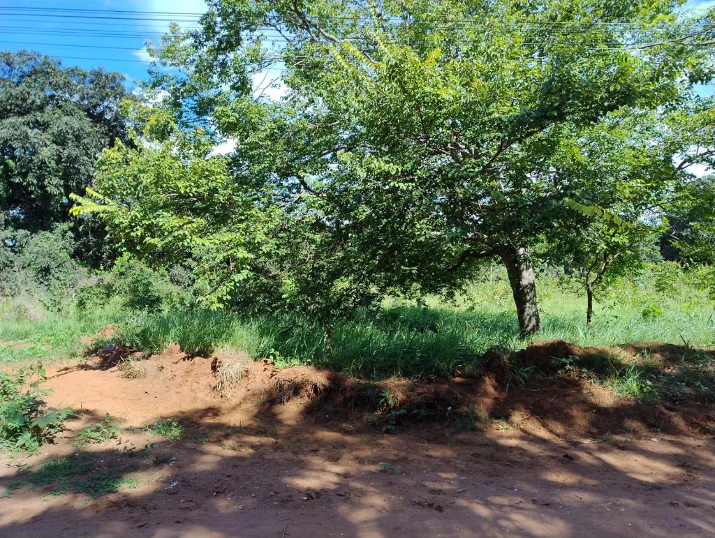 Chácara_Venda