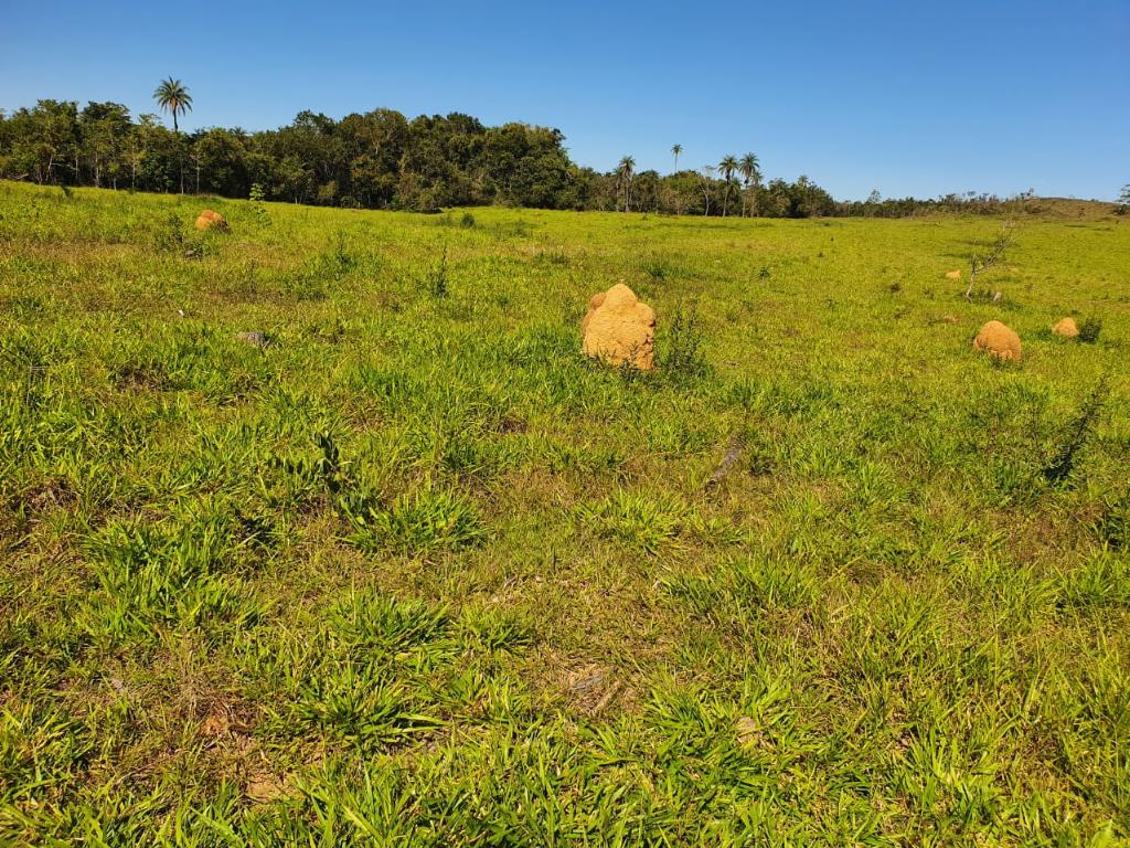 Fazenda_Venda