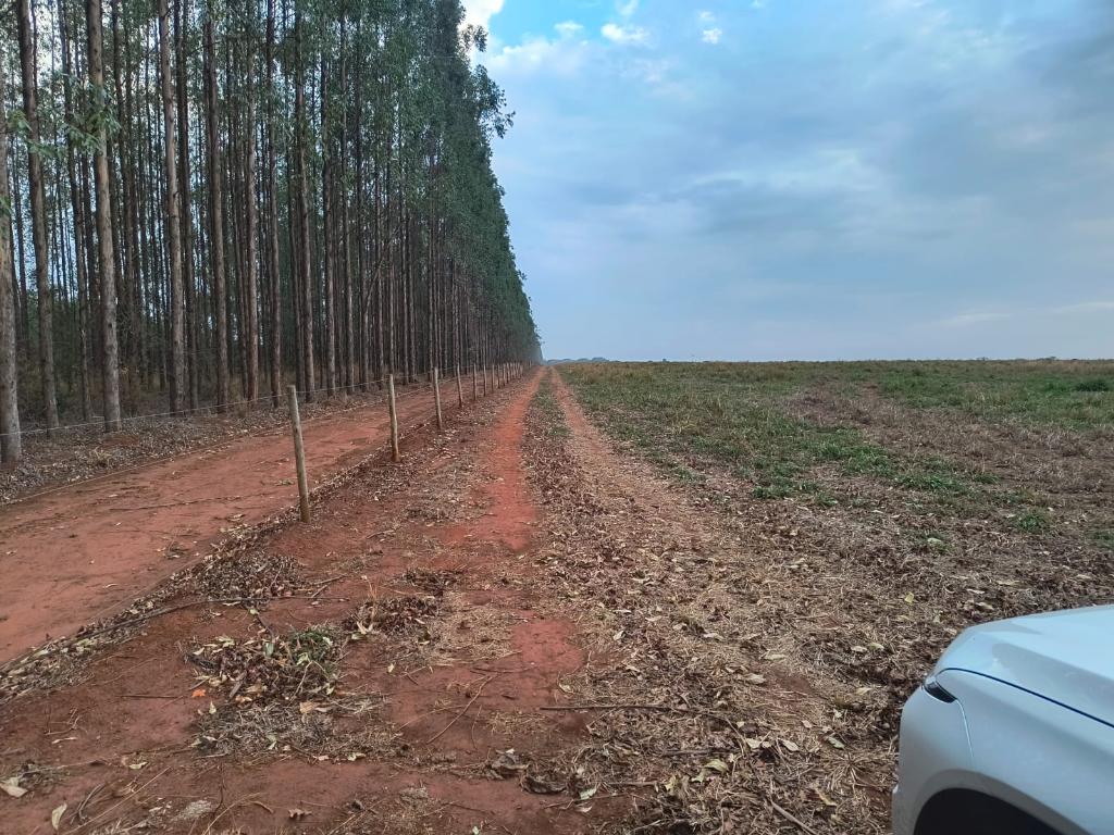 Área_Venda