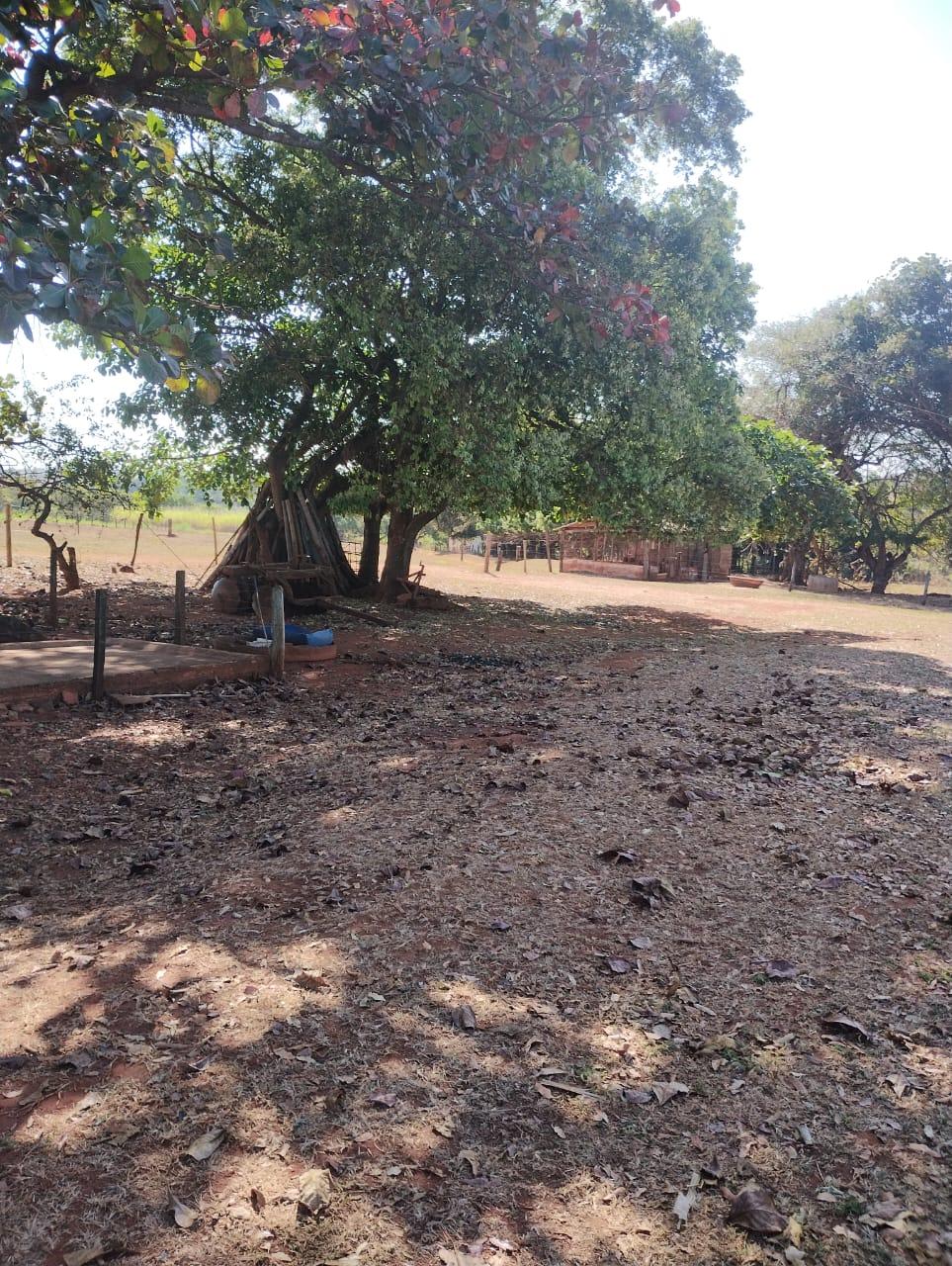 Fazenda_Venda