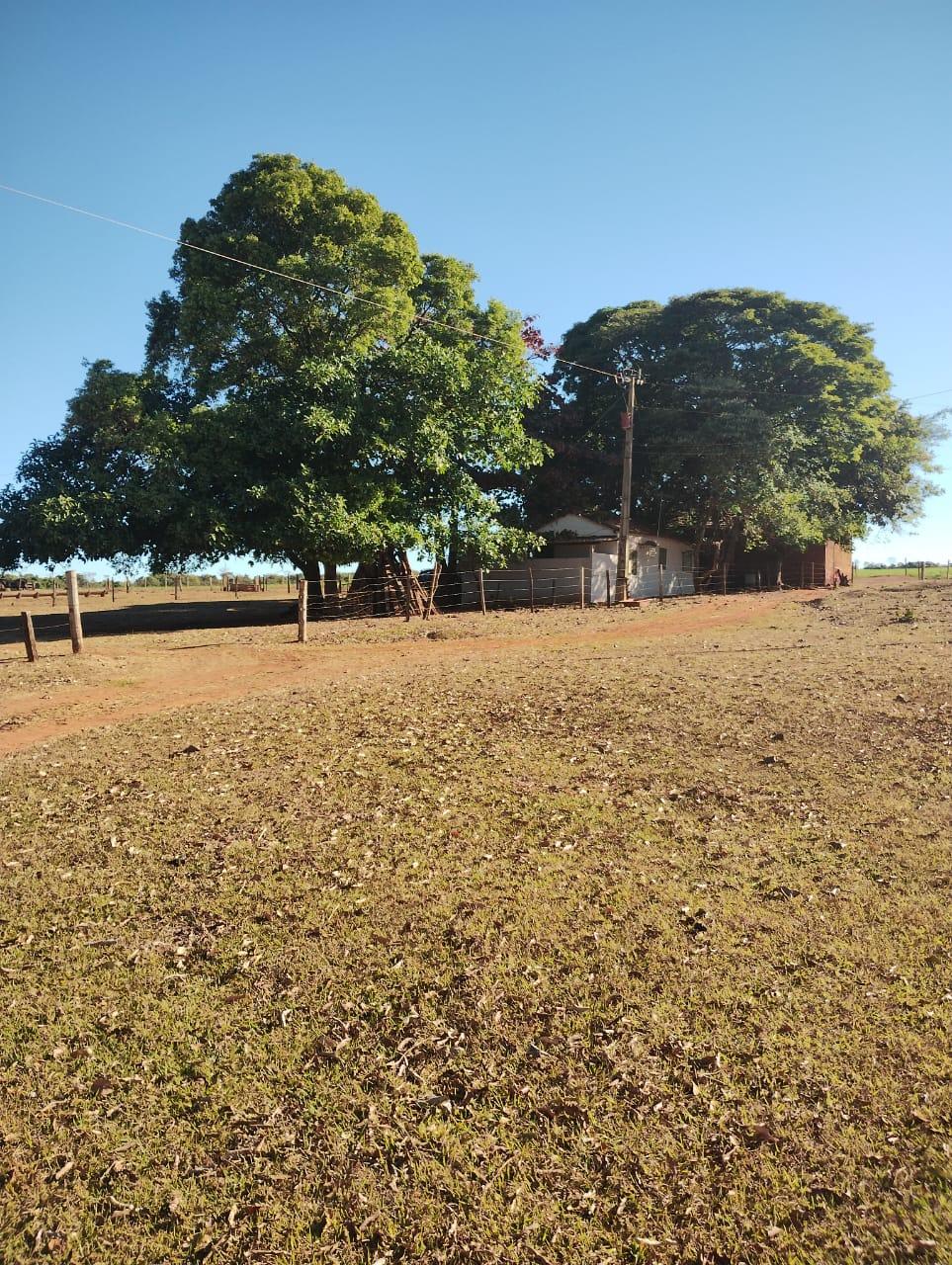 Fazenda_Venda