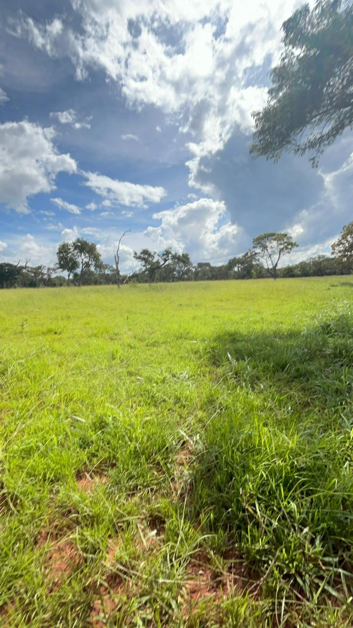 Fazenda_Venda