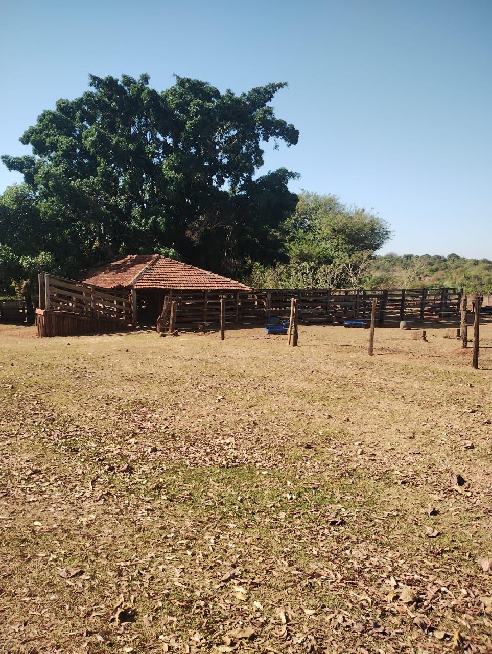 Fazenda_Venda