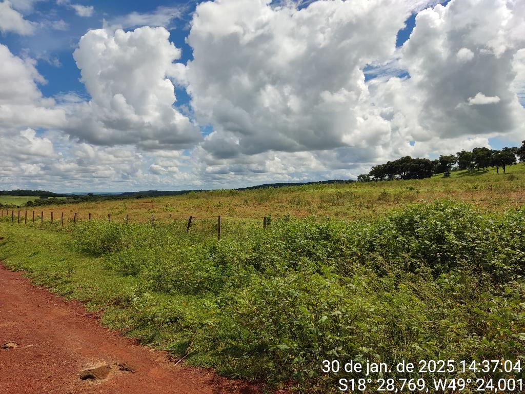 Fazenda_Venda