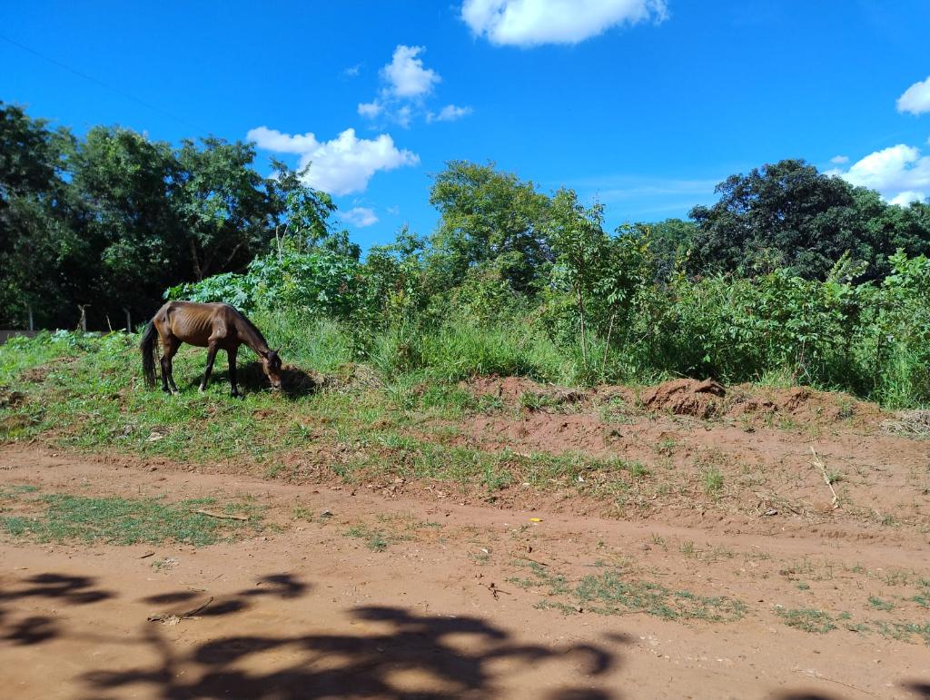 Chácara_Venda