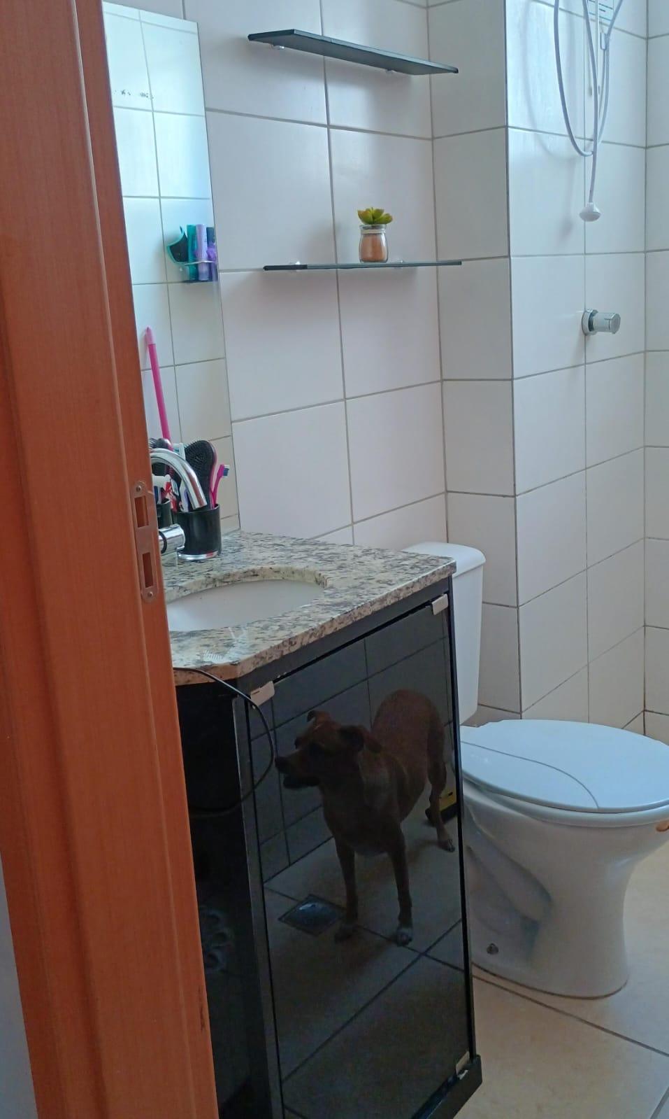 Apartamento_Venda