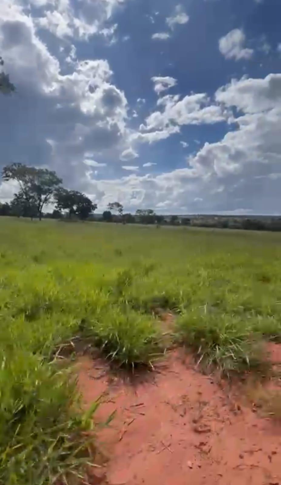 Fazenda_Venda