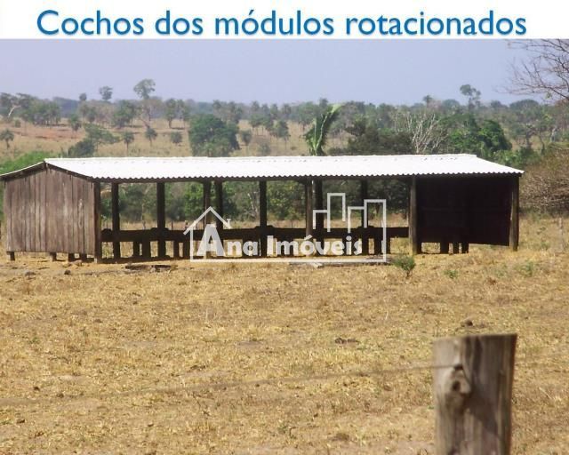Fazenda_Venda