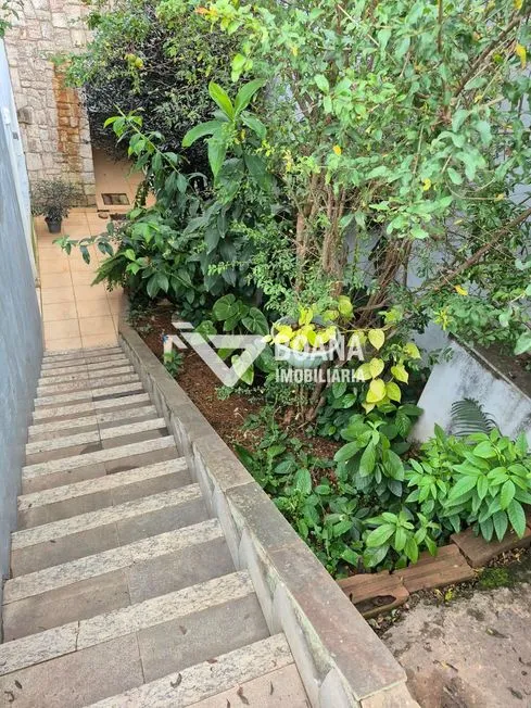 Imagem 3