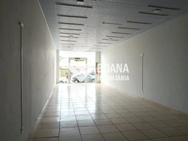 Imagem 5