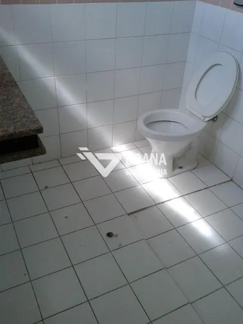 Imagem 5