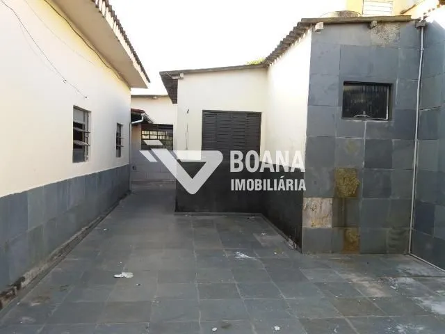 Imagem 13