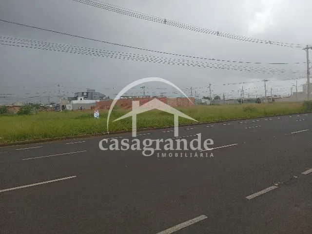 Imagem 14