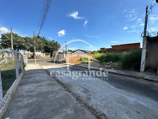 Imagem 5