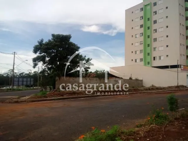 Imagem 3