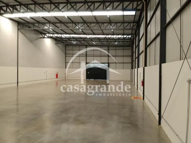 Imagem 8