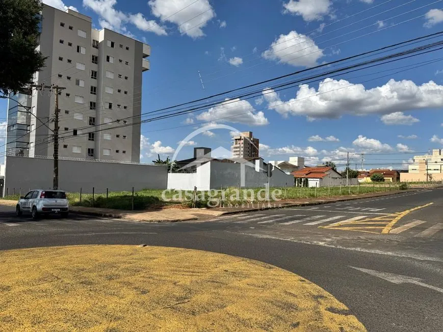 Imagem 11