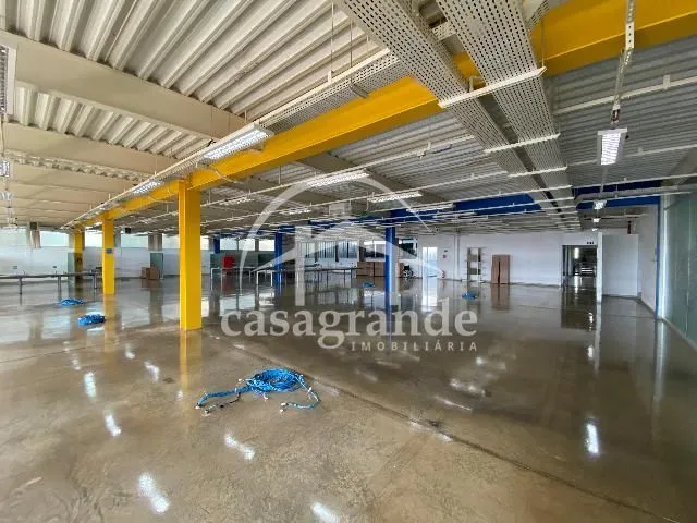 Imagem 5