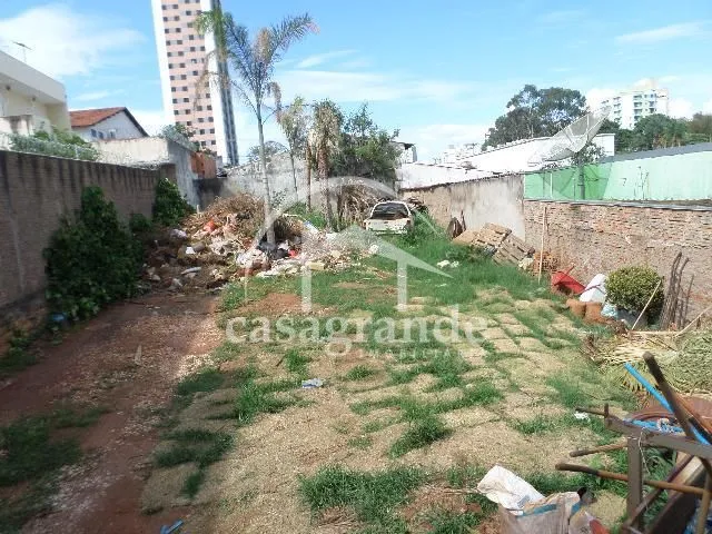 Imagem 3