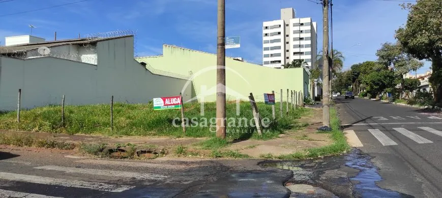 Imagem 15