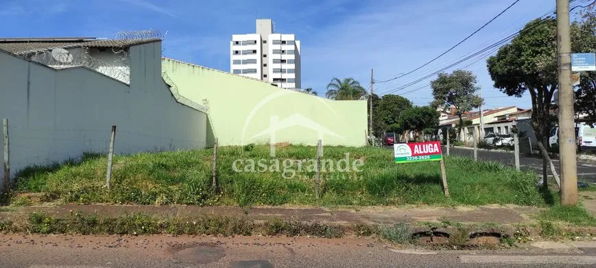 Imagem 20