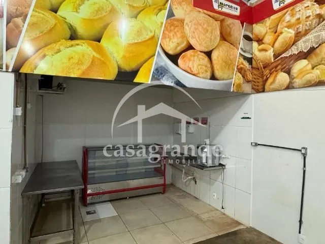 Imagem 15