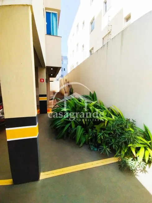 Imagem 4