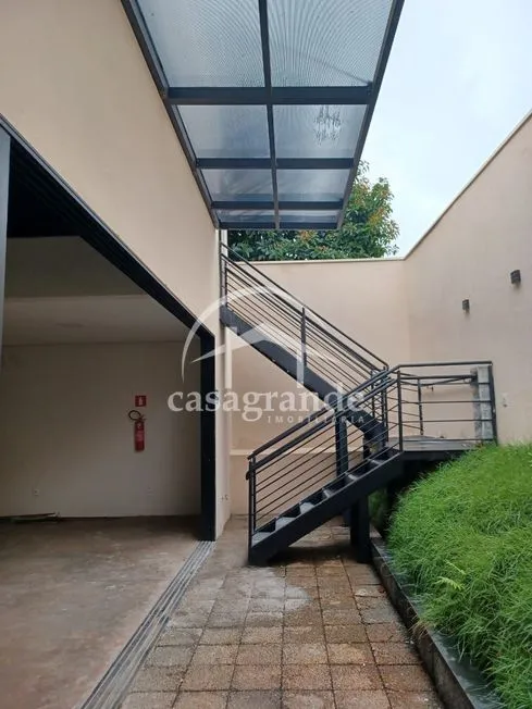 Imagem 5