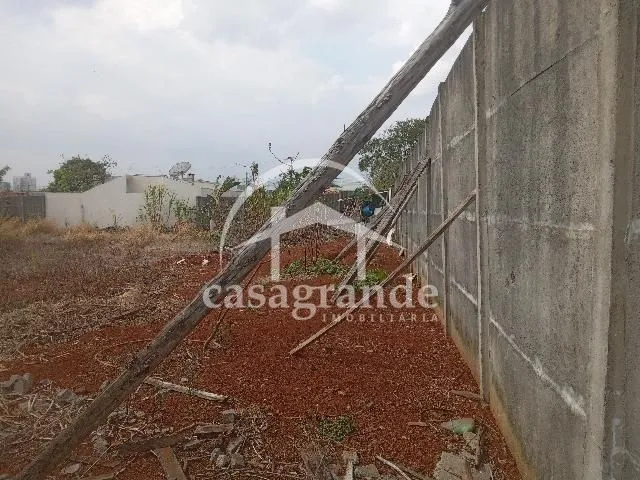 Imagem 2