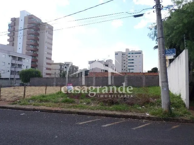 Imagem 3