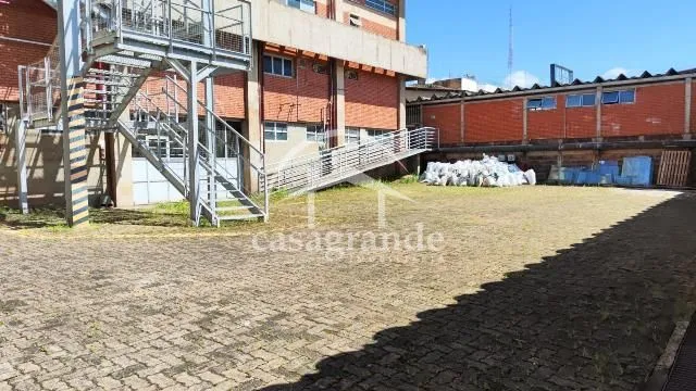 Imagem 12