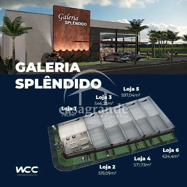 Imagem 1