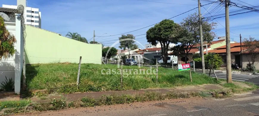 Imagem 16