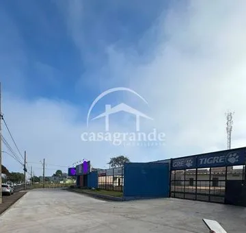 Galpão para alugar no Santa Monica imagem 1
