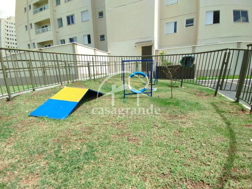 Imagem 15