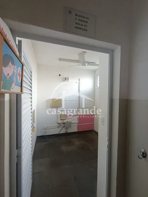 Imagem 7