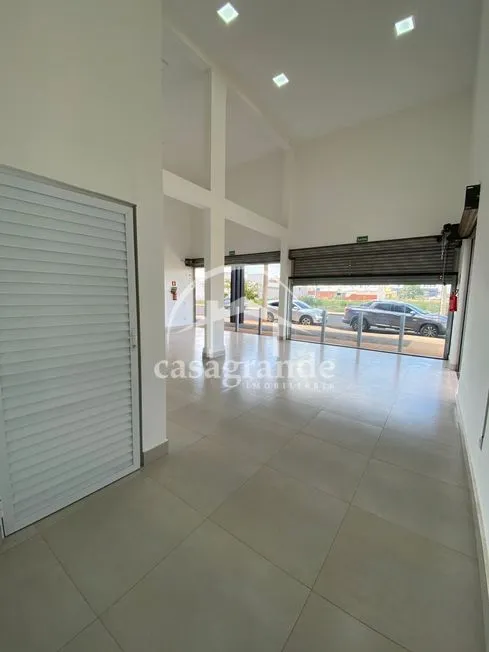 Imagem 12