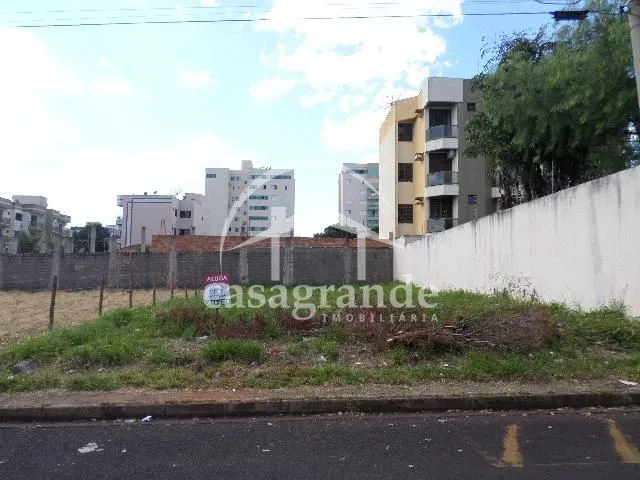 Imagem 6